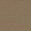 SP251 Aged Leather 2418