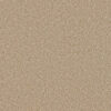 SP251 Frosted Clay 4522