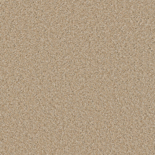 SP251 Frosted Clay 4522