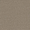 SP251 Siesta 2068