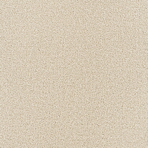 STAR STRUCK Ivory 730
