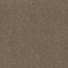 STUNNING Acorn 858