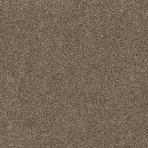 STUNNING Acorn 858
