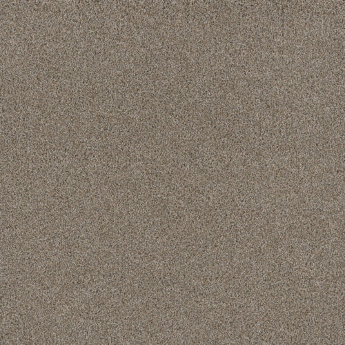 STUNNING Iron Frost 815