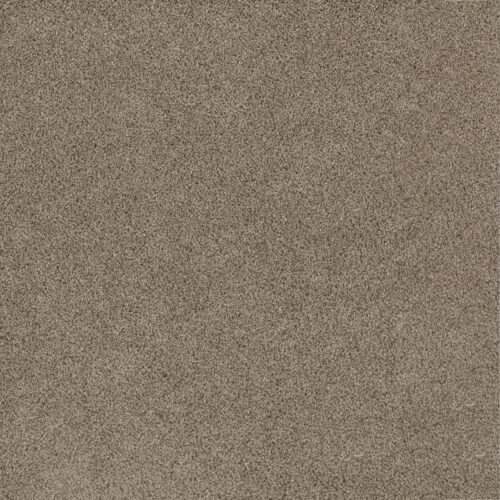 STUNNING Mocha 775