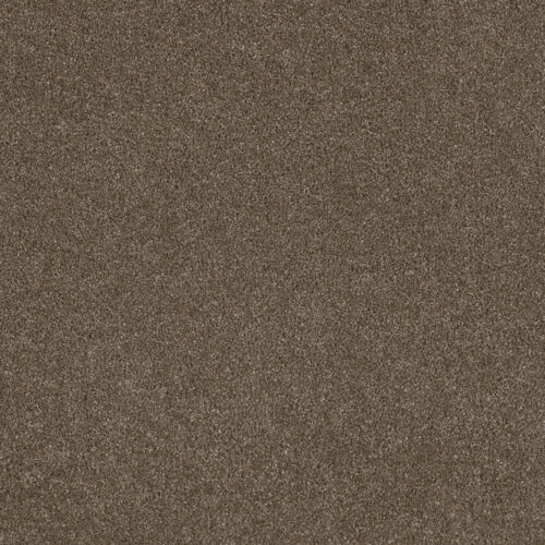 STUNNING Peppercorn 753