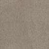 STUNNING Stucco 905