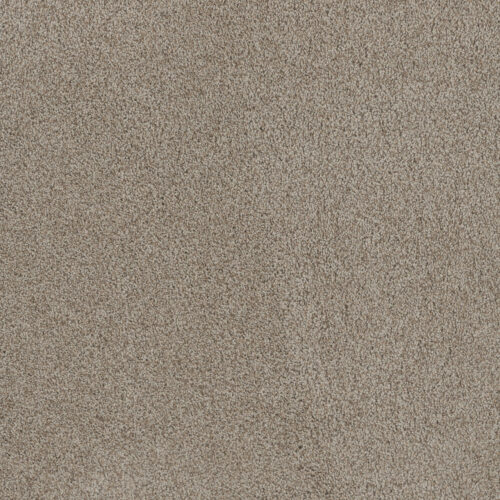 STUNNING Stucco 905