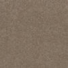 STUNNING Tumbleweed 883