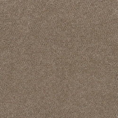 STUNNING Tumbleweed 883