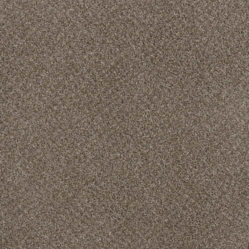 TOAST OF THE TOWN English Stone 276