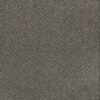 TOAST OF THE TOWN Flagstone 884