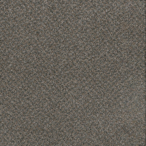 TOAST OF THE TOWN Flagstone 884