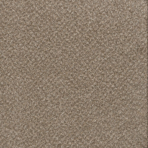 TOAST OF THE TOWN Natural Cotton 309