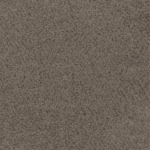 TOAST OF THE TOWN Rugged Suede 808