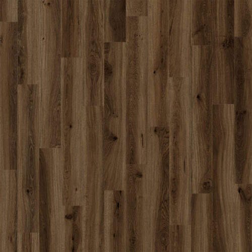 ANTIQUITY Top Sail 1103