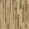CULTIVATE Acadia 6020