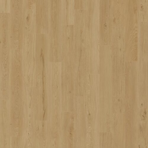 NURTURE Canyon 6008