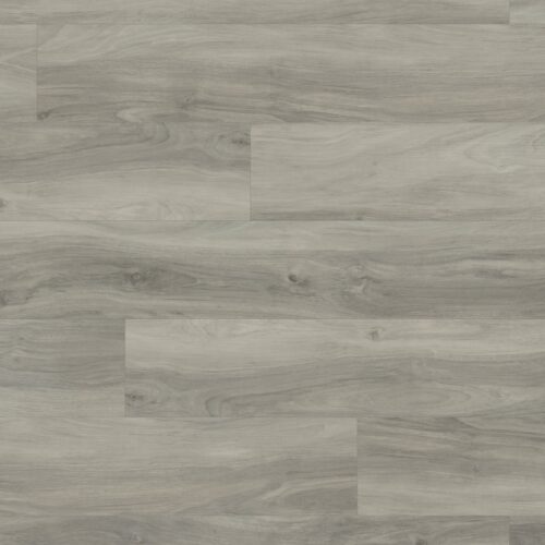 Korlok Reserve Ghost Elm RCP6544