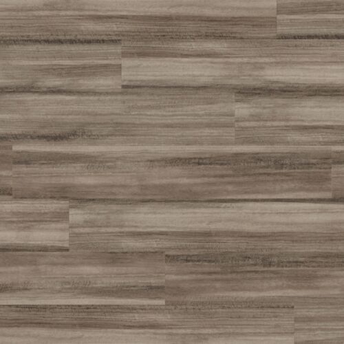 Opus Canitia WP322