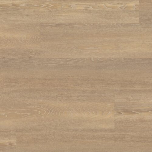 Opus Niveus WP411