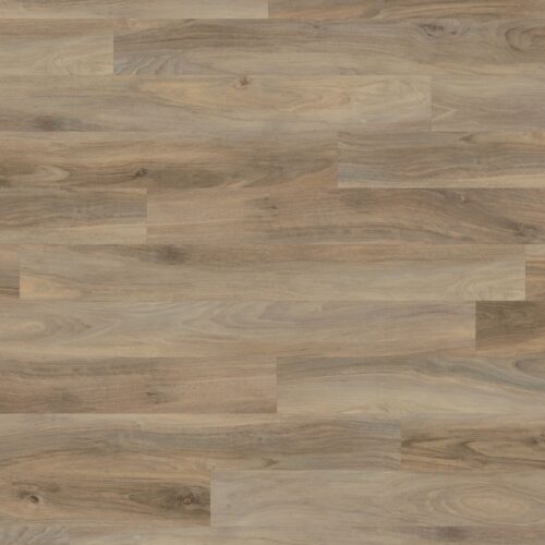 Opus Weathered Elm WP511