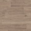 Van Gogh Rigid Core Frosted Birch SCB83