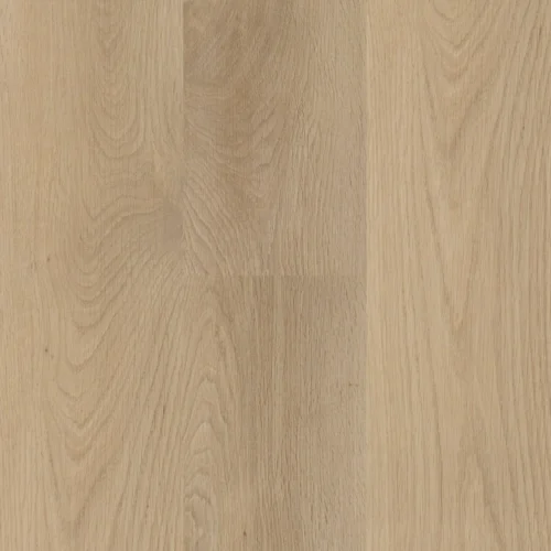 Amazing Pro Golden Oak 537 123