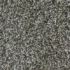 Stratus Lambkin 220 094