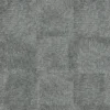Pinstripe Silver coin 877 021