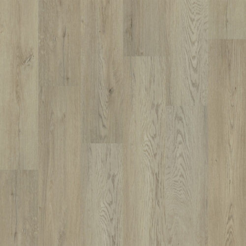 ELEVATE Vista 2103