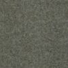 Aspen Classic Boston Fern 4869