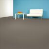 Capital 6825 Grey Goose SFI-capital-6825