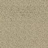 Crayons 3671 Frosted Tan SFI-crayons-3671