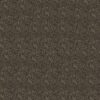 Devotion-Desire-Dedication Bison SFI-3534