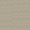 Devotion-Desire-Dedication Graytint SFI-3537