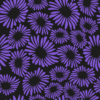 Fun House 2758 Purple Mum SFI-funhouse-2758