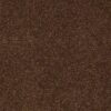 Montana / Maine / Minnesota / Maryland Caramel 2557