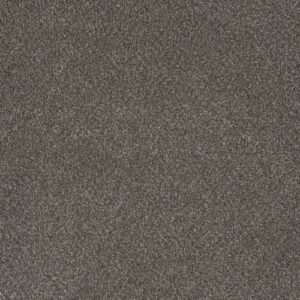 Moondance-Moonshadow-Moonstruck Bark At The Moon SFI-4426