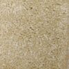 Signature Golden Slumber 7539