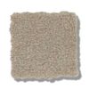 Spunky-Sassy-Smart Idea SFI-4230