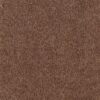 Westbury Classic Turtle 6865