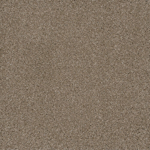 EASY STREET Acorn 858
