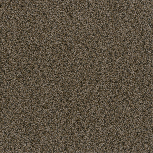 IN A SNAP Rustic Charm 383